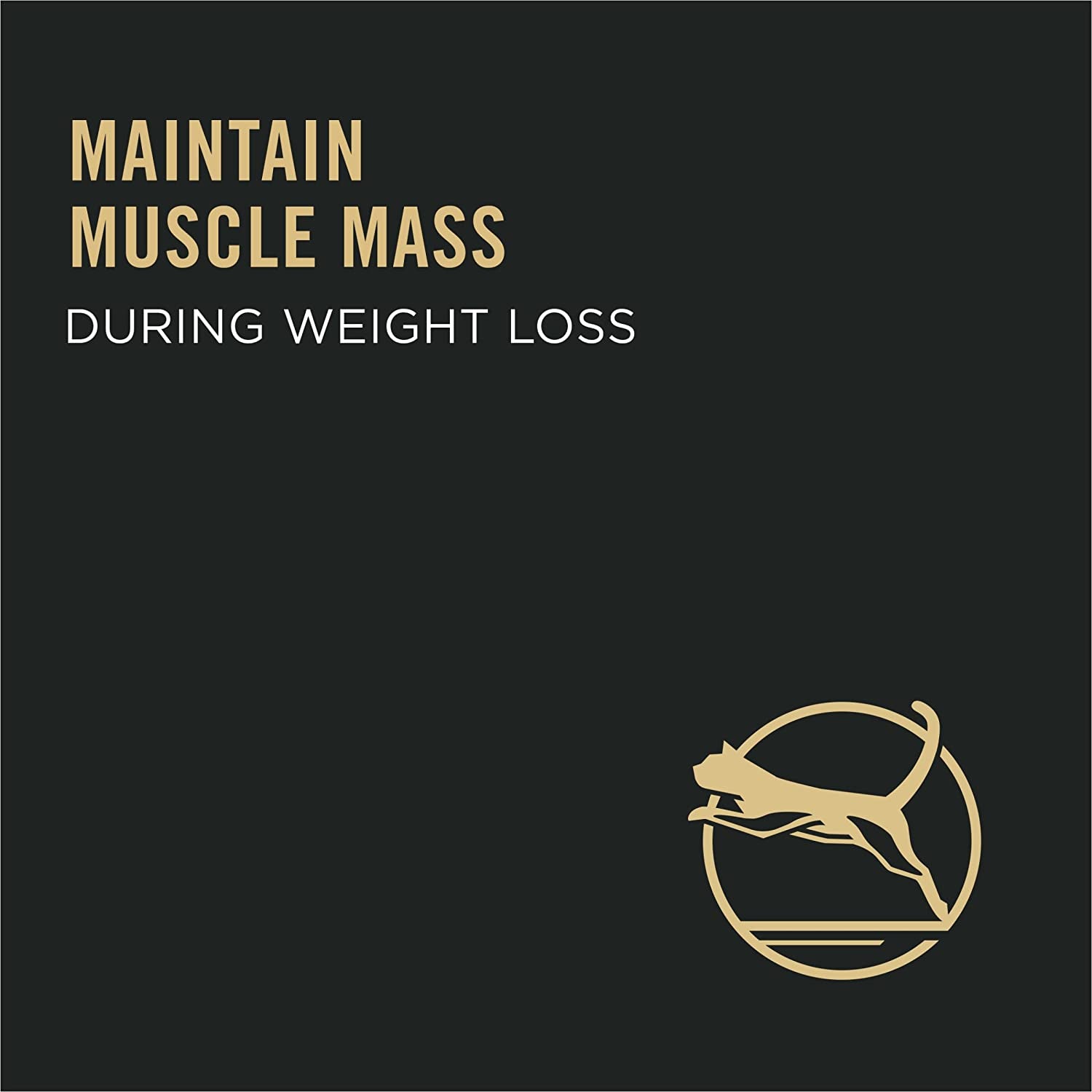 Purina Pro Plan with Probiotics, Grain Free Weight Management Dry Cat Food, Turkey & Egg Formula - 12.5Lb